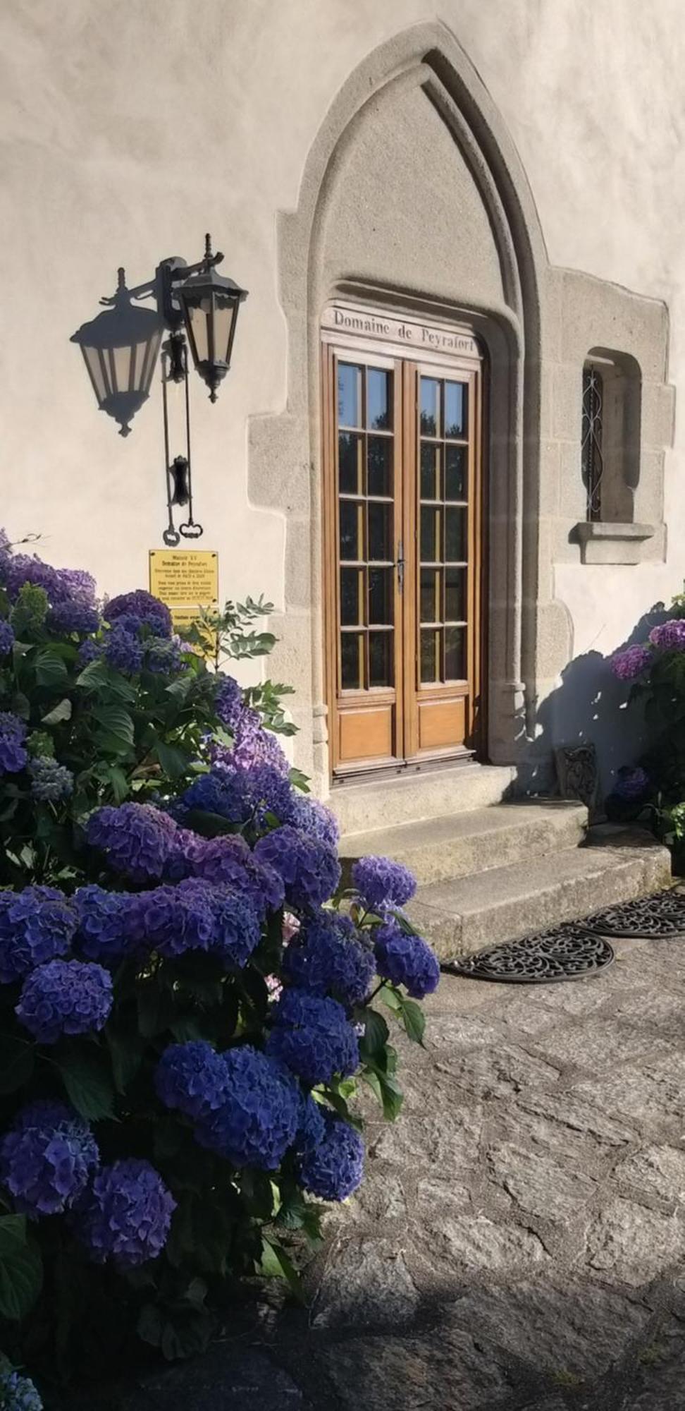 Manoir XV Domaine De Peyrafort Тюль Екстер'єр фото